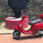 Vespa Tour in Chianti Small Group from Florence - Wine Tasting at Casale dello Sparviero