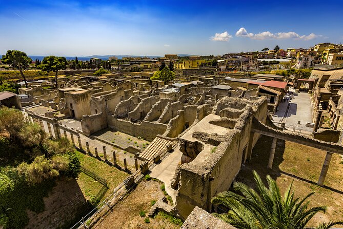 Vesuvius & Herculaneum Small Group Tour from Pompeii - Starting Point and Group Size: Convenient and Intimate