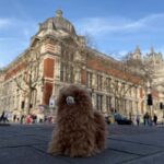 Victoria and Albert Museum Private Guided Tour - The Meeting Point and How to Find Your Guide