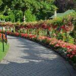 Victoria & Butchart Gardens Tour with Ferry from Vancouver - Discovering Victoria’s Inner Harbour and Neighborhoods