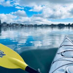 Victoria: Kayak Harbour Tour - Starting Point at Ocean River Sports
