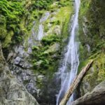 Victoria Waterfall, Skywalk, Beach Picnic, Castle and Whales - Exploring Victoria’s Old-Growth Forest and Waterfalls