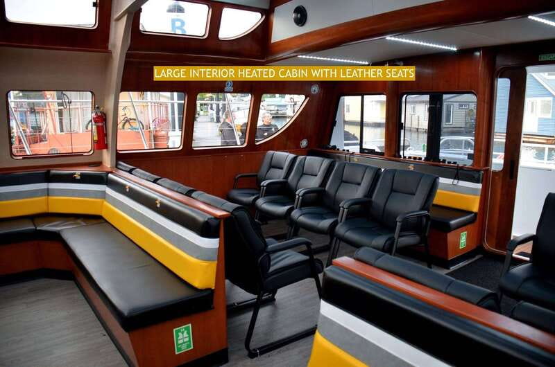 Victoria: Whale and Wildlife Semi-Covered Boating Tour - The Catamaran: Comfort and Practicality in Design