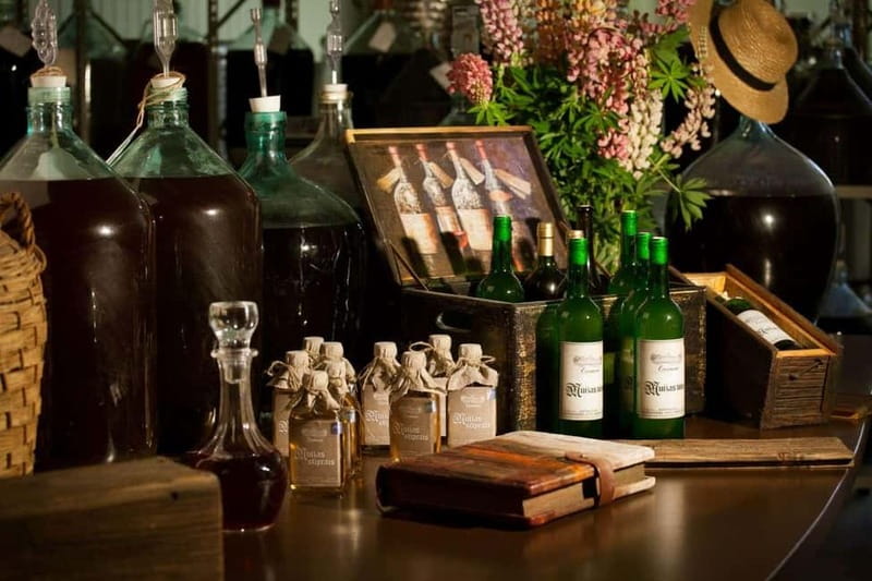 Vidzeme wine tasting tour - Visiting Krimulda Manor for Home Wine Tasting