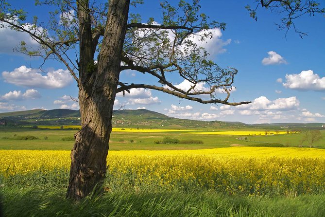 Vienna-Budapest One-Way Sightseeing Transfer - Starting the Day with a Pickup in Vienna