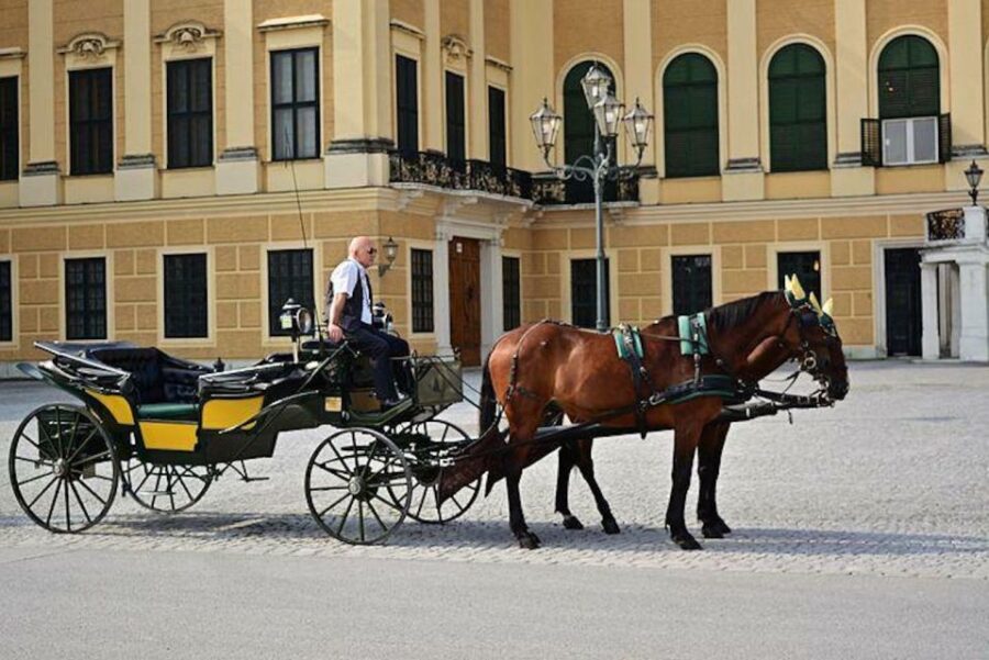 Vienna: Carriage Ride Through Schönbrunn Palace Gardens - Meet Your Fiaker in Front of Schönbrunn Palace