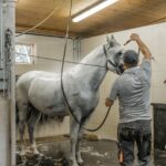 Vienna Horse-drawn Carriage Guided Tour - The Scenic Carriage Ride Through Vienna’s Neighborhoods