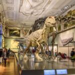 Vienna: Ticket to the Museum of Natural History - The Architectural Wonder on the Ringstraße