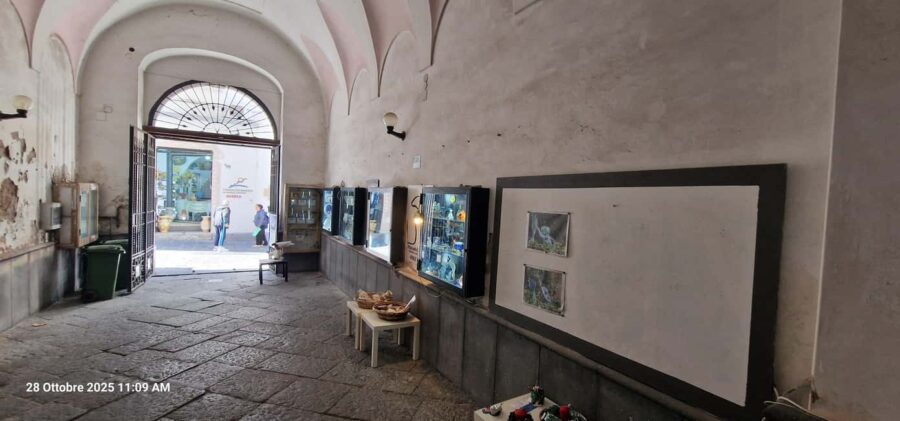 Vietri sul Mare: Guided Walking Tour with Enzo - Meeting Point and Practical Details at Bar Miramare