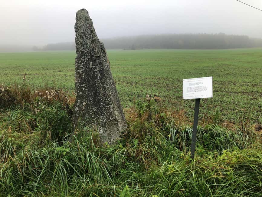 Viking History Half-Day Tour from Stockholm - A Church Visit for Cultural Context