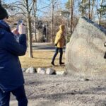 Viking History Small Group Tour from Stockholm: Half Day Including Sigtuna - Convenient Pickup and Transport in Swedish Countryside