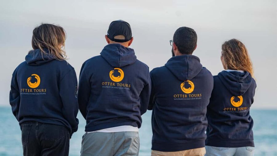 Vilamoura: Private boat Marine Wildlife Watching Safari - Meeting at Vilamoura Marinas Dock Q