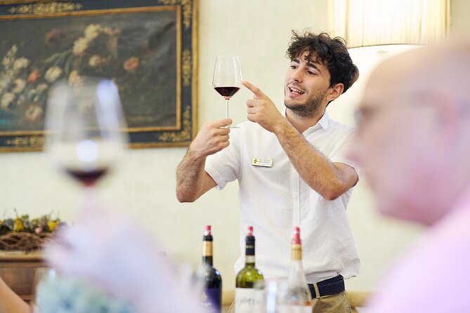 Villa Medicea Di Lilliano Tour with Wine Tasting - The Panoramic Terrace and Renaissance Garden Views