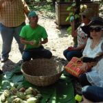 Villahermosa- Route Of Chocolate - Exploring Comalcalco: The Maya City of Clay Bricks