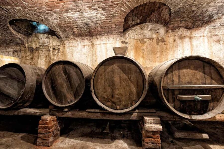 Villarbasse: Picnic in the Vineyard with Nature and Wine - Discovering Villarbasse and Its Vineyards