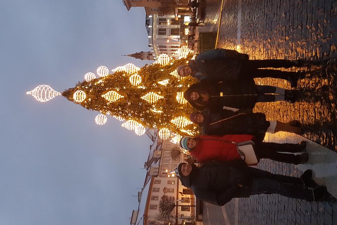 Vilnius city tour- walking& driving - Exploring Vilnius Landmarks with a Local Guide