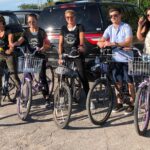 Vine and Dine Bicycle Wine Tour with Lunch - Visiting Reputed Wineries: Reif, Caroline Cellars, and Diamond Estate