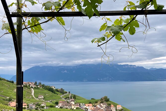 Vine Stories: Lavaux & Lutry wine walk - The Itinerary: Visiting Grandvaux and Beyond