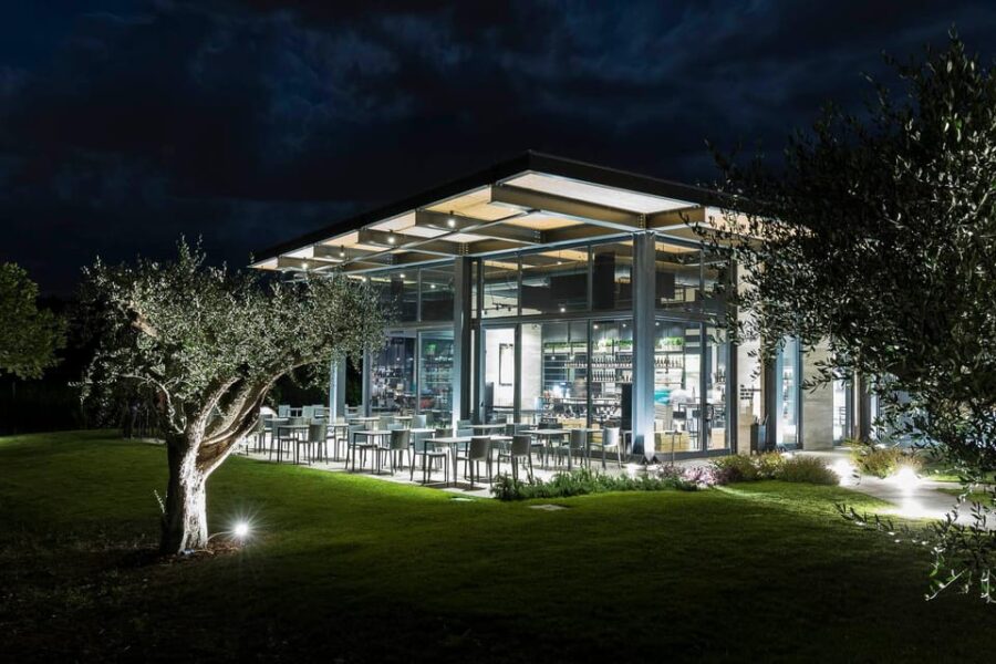 Vineyard Tour and Winery Visit with Tasting of Wines of Romagna - Exploring the Winery’s Location in Riminis Hills