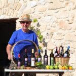 Vineyard Tour, Wine and Sicilian delicacies tasting at a Winery in Agrigento - Walking Among Centenary Olive Trees and Fruit Orchards