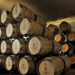 Vineyard Tour with Light Lunch in Valpolicella - Exploring Valpolicella’s Vineyards and Winemaking Processes