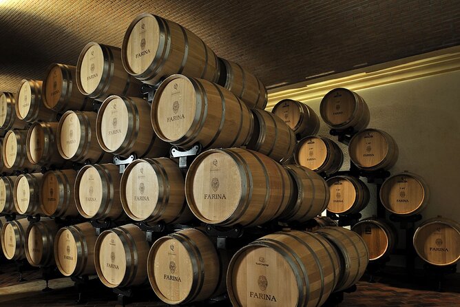 Vineyard Tour with Light Lunch in Valpolicella - Exploring Valpolicella’s Vineyards and Winemaking Processes