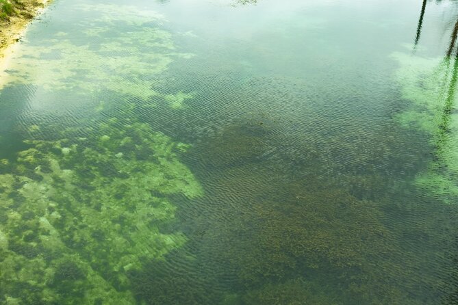 VIP ECO Adventure to Vortex Springs and Water Park All Included - Arrival at Vortex Springs: Setting Up the Perfect Base Camp