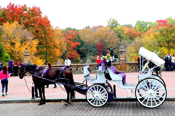 VIP Horse Carriage Ride through Central Park (Up to 4 Adults) - Starting Point and Booking in Advance