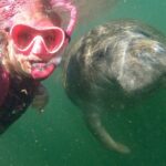 VIP Private Boat Manatee Snorkel Tour with In-Water Guide and Photograper - Starting Point: Crystal Rivers Salty Siren Tours