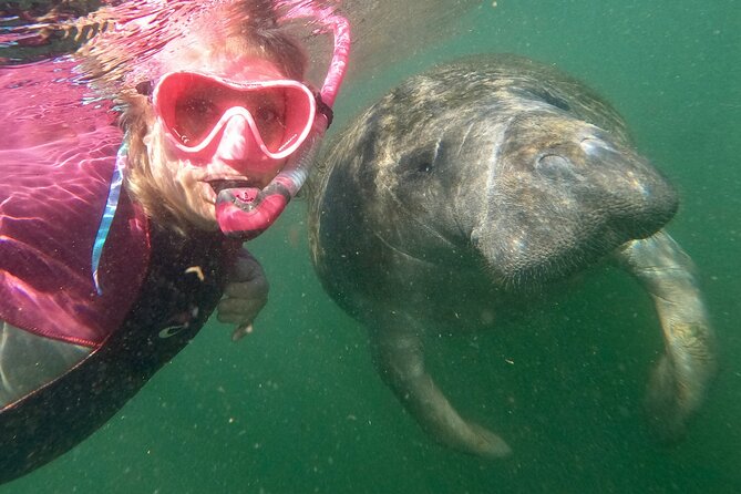 VIP Private Boat Manatee Snorkel Tour with In-Water Guide and Photograper - Starting Point: Crystal Rivers Salty Siren Tours
