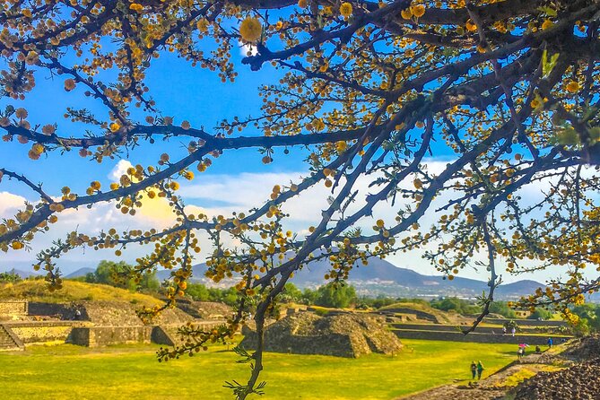 VIP Teotihuacan & Guadalupe Shrine Tour: A Journey Through Time - Starting at Teotihuacan: A Walk Among the Ancient Pyramids