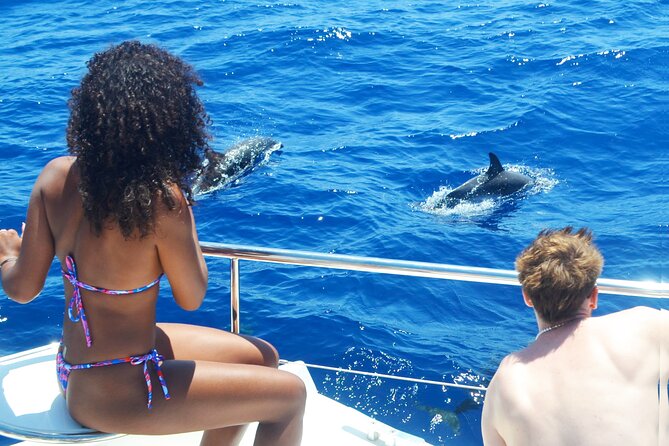VipDolphins Luxury Whale Watching - The Luxurious Onboard Experience and amenities