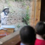 Visit - immersion in the heart of the bee world! - What Makes the Tour Stand Out: Interactive Hive Activities