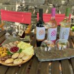 Visit Qt Sobre a Fonte with wine tasting and picnic - pet friendly - The Historic Farm and Its Facilities