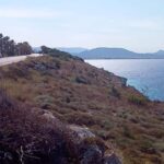 Visit the 10 best places in Rhodes with free Wine Tasting - Exploring Faliraki Port and Bridge for Coastal Charm