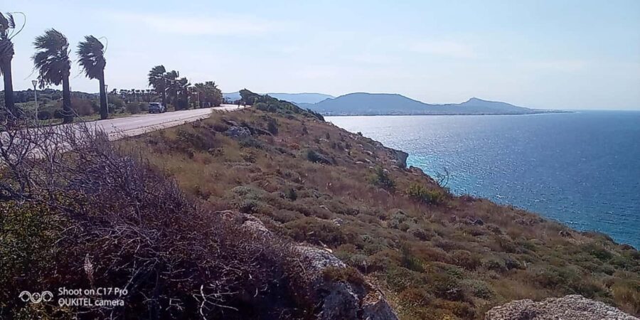 Visit the 10 best places in Rhodes with free Wine Tasting - Exploring Faliraki Port and Bridge for Coastal Charm