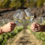 Visit to Arafo Mountain Vineyard and Organic Wine Tasting - Scenic Organic Vineyard at Nearly 1,000 Meters Elevation