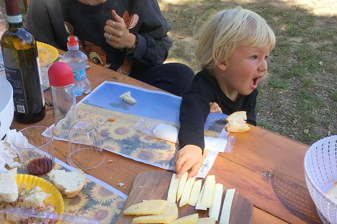 Visit to the Cinta Senese farm in Montepulciano - Exploring the Farm Setting in Montepulciano