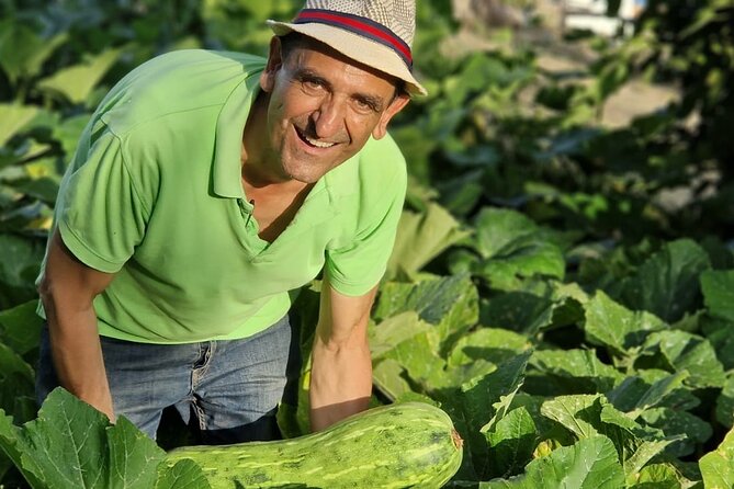 Visit to the Emerald Grotto with picnic in an olive grove. - Explore the Emerald Grotto and Surrounding Nature for an Authentic Amalfi Experience
