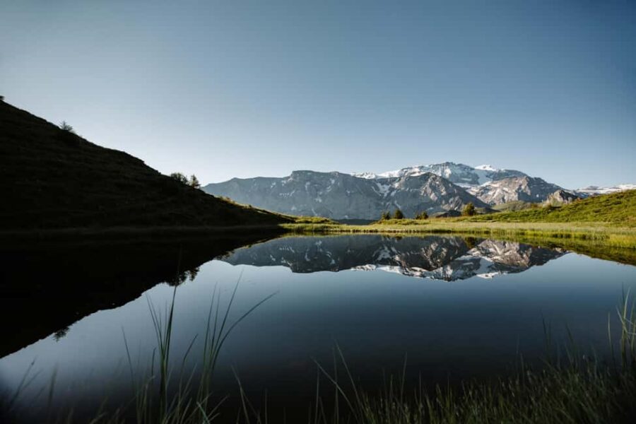 Vogellisi Mountain: Easy Panoramic Flower Trail Hike - The Flat, Accessible Flower Trail