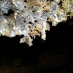 Volcanic caving Cueva de Las Palomas (ES-EN) LA PALMA - Practical Details for the Tour