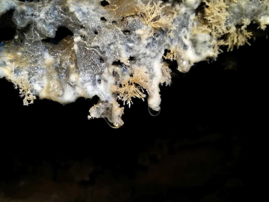 Volcanic caving Cueva de Las Palomas (ES-EN) LA PALMA - Practical Details for the Tour