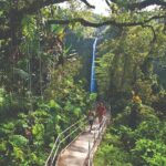 Volcano Adventure: Hilo Sightseeing w/ Optional Helicopter Tour - An In-Depth Look at the Itinerary and Key Stops