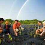 Volcano, Chocolate and Waterfalls of the Big Island - Walking Through the Lava Fields and Craters