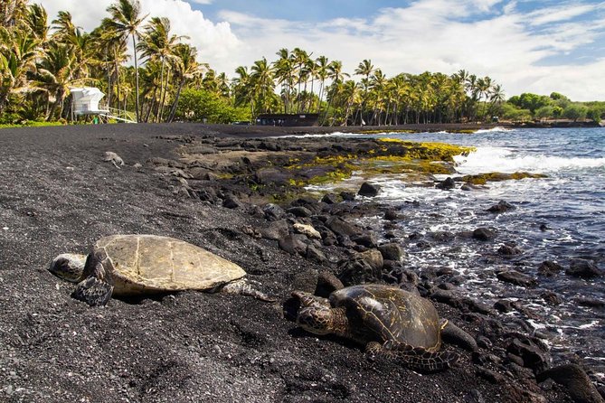 Volcano Tour from Kona - Hawaiian Volcanoes National Park: A Powerhouse of Natural Wonder