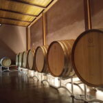 Volterra: Winery Guided Tour and Experience with Tasting - An Introduction to the Terre de Pepi Winery in Volterra