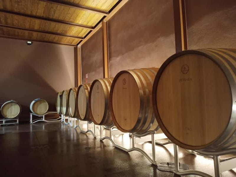Volterra: Winery Guided Tour and Experience with Tasting - An Introduction to the Terre de Pepi Winery in Volterra
