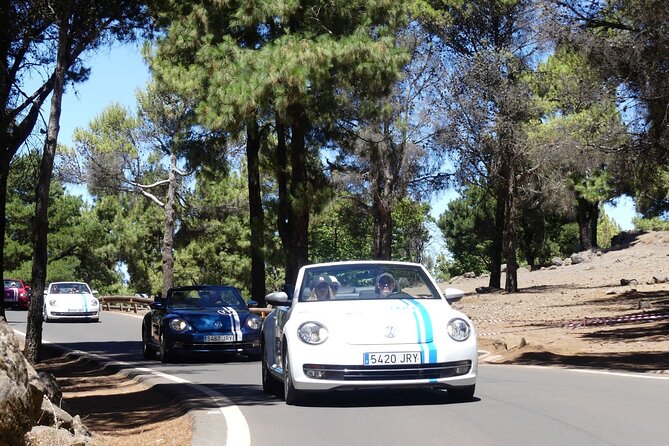 Vw Beetle Convertible Island tour Discover the island on a different way - Exploring Gran Canarias Mountain and Valley Highlights