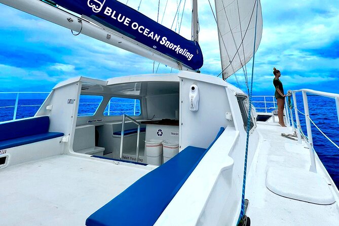 Waikiki Catamaran Escape: Snorkel with Turtles & Water Sports Fun - Water Sports Activities in the Middle of Waikiki Waters