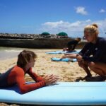 Waikiki Private Group Surf Lesson - Meeting Point and Accessibility in Waikiki
